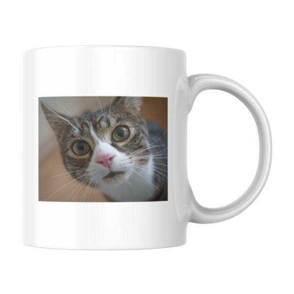 EMI CANECA DE PORCELANA GATINHO BRINCANDO